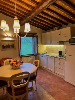 Antica Vigna Toscana Poppi